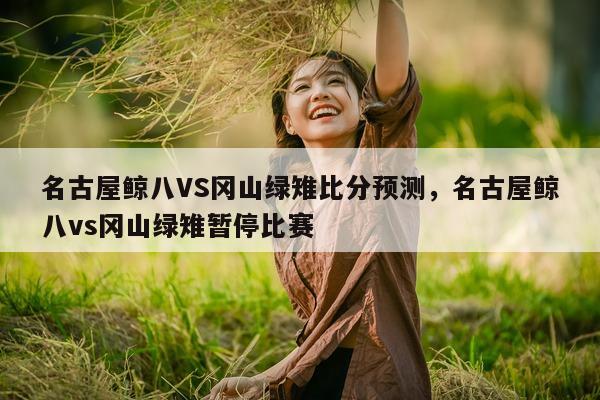 名古屋鲸八VS冈山绿雉比分预测，名古屋鲸八vs冈山绿雉暂停比赛