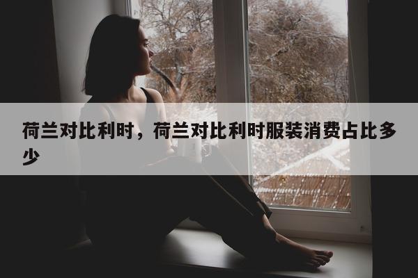 荷兰对比利时，荷兰对比利时服装消费占比多少