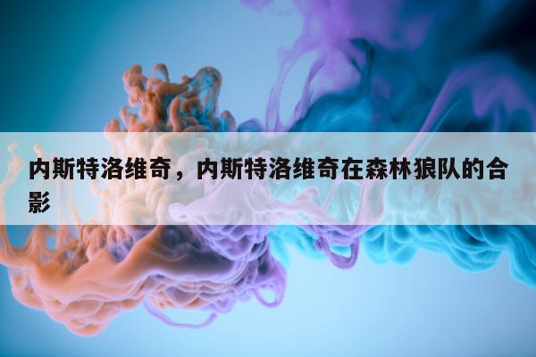 内斯特洛维奇，内斯特洛维奇在森林狼队的合影