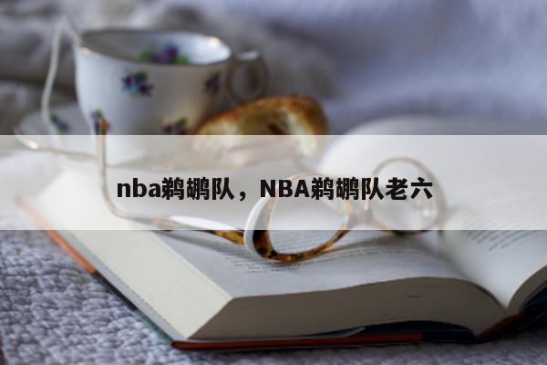 nba鹈鹕队，NBA鹈鹕队老六