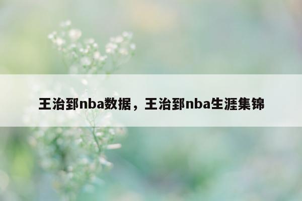 王治郅nba数据，王治郅nba生涯集锦