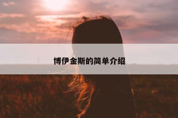 博伊金斯的简单介绍